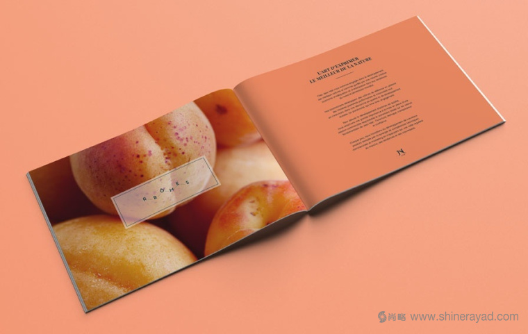 Jean Niel 香精香料公司純字母logo設(shè)計(jì)-上海logo設(shè)計(jì)公司4