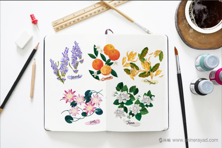 花卉插畫設計風格 SENSPA 唇膏外包裝盒設計-上海包裝設計公司設計欣賞8