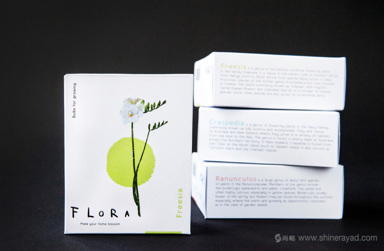 FLORA 鮮花球莖根莖包裝設計-上海包裝設計公司設計收藏2