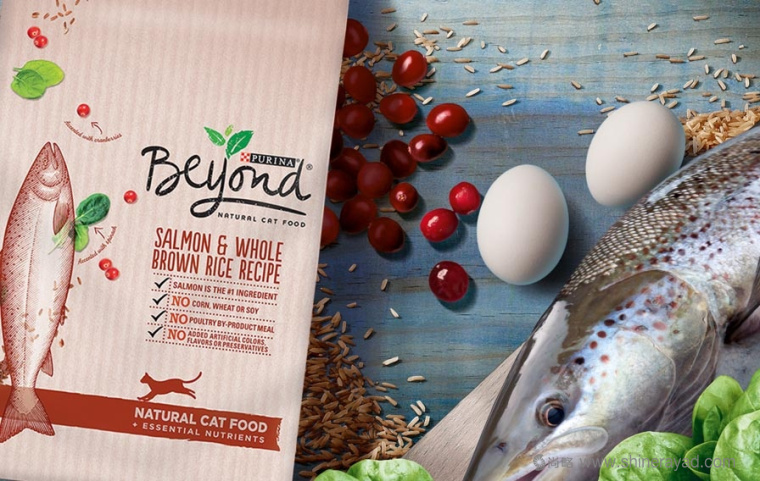 Going Beyond 普瑞納寵物食品包裝設(shè)計(jì)-上海包裝設(shè)計(jì)公司3