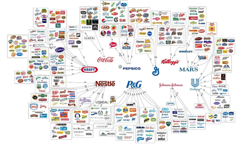 企業(yè)如何利用多品牌經(jīng)營策略實(shí)現(xiàn)細(xì)分市場利益最大化-上海品牌策劃公司策劃