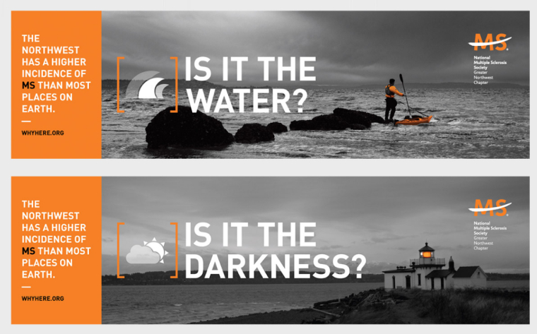 MS多發(fā)性硬化癥疾病協(xié)會(huì)公益捐助廣告宣傳推廣與營銷