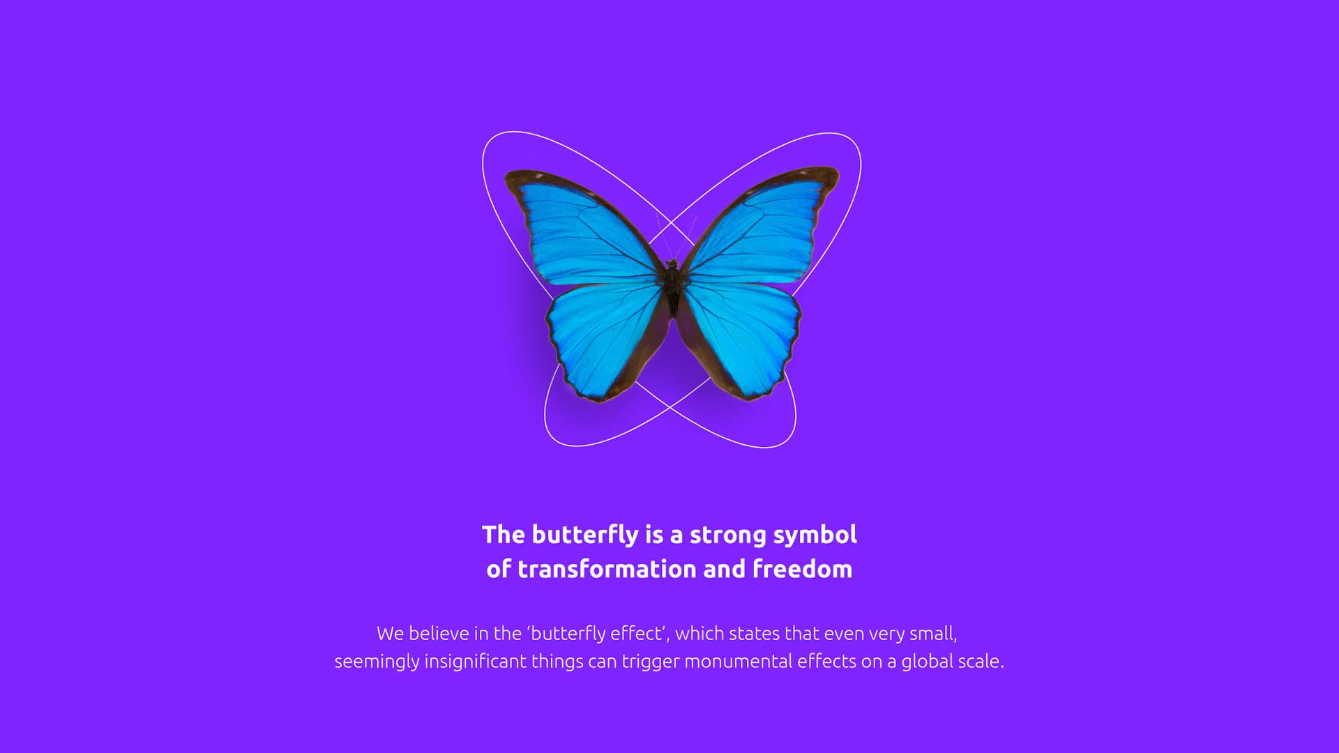 活環(huán)科技蝴蝶風(fēng)格全球物聯(lián)網(wǎng)動力公司Sigfox品牌VI視覺形象設(shè)計--蝴蝶標志