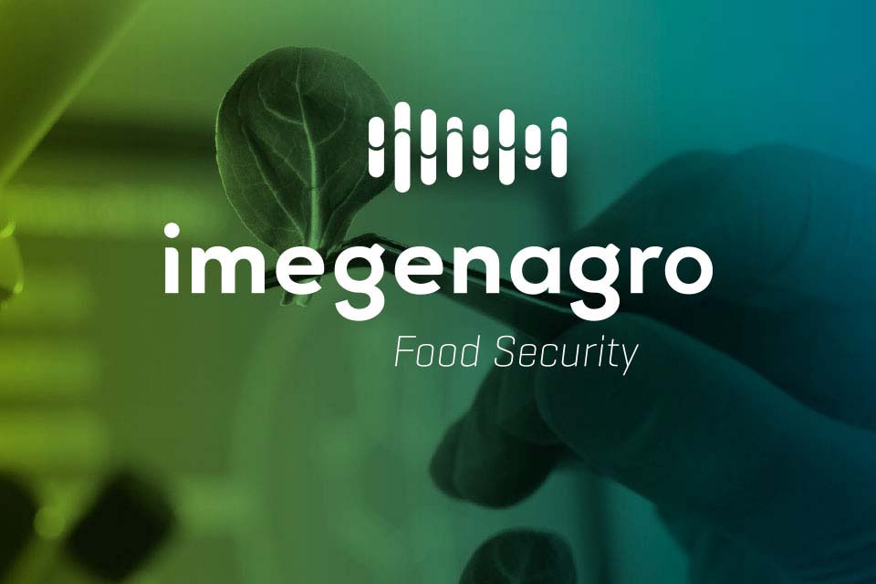 MEGEN人類遺傳學(xué)基因品牌標(biāo)志設(shè)計(jì)VI設(shè)計(jì)品牌視覺形象設(shè)計(jì)