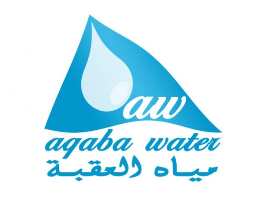 水標(biāo)志設(shè)計(jì)圖片-水滴和旗幟結(jié)合的水務(wù)公司標(biāo)志設(shè)計(jì)