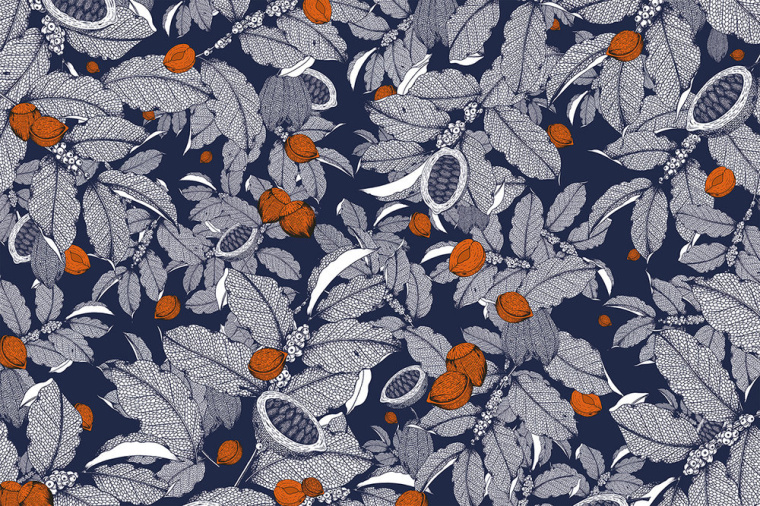 曼谷藝術家Suthipa Kamyam的手繪插畫包裝設計作品