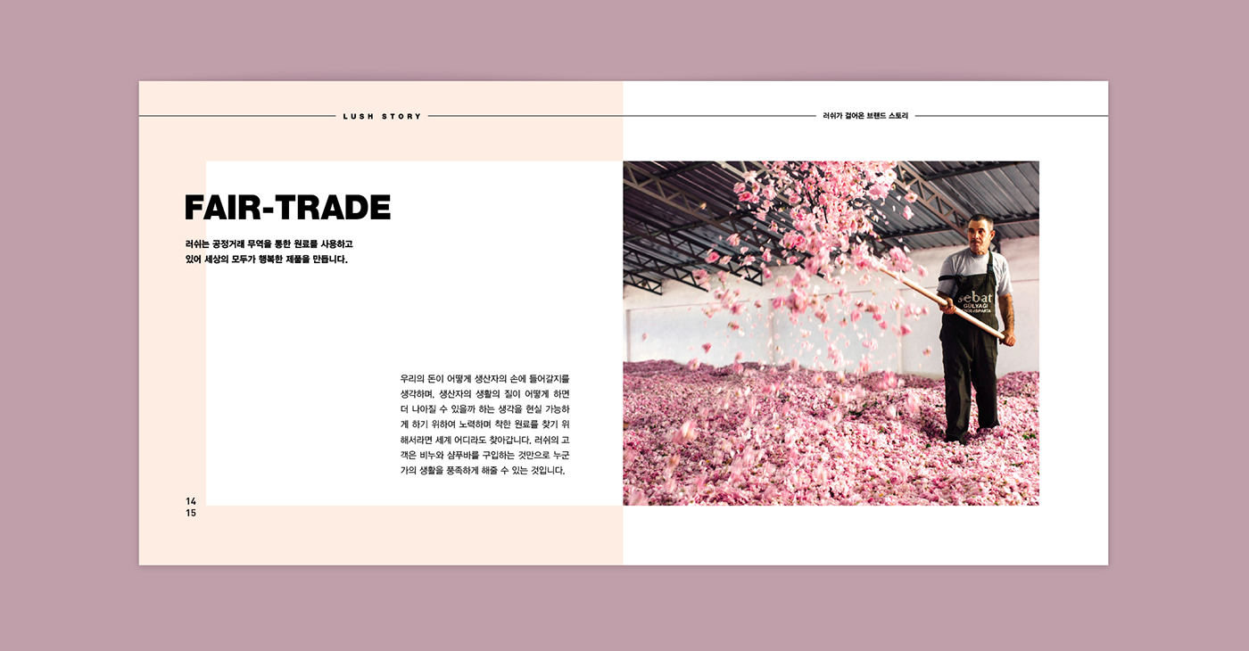 “方形”元素LUSH 糕點(diǎn)罐頭美食學(xué)校畫冊(cè)設(shè)計(jì)-上海畫冊(cè)設(shè)計(jì)公司 “方形”元素LUSH 糕點(diǎn)罐頭美食學(xué)校畫冊(cè)設(shè)計(jì)-上海畫冊(cè)設(shè)計(jì)公司