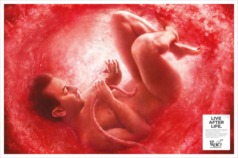 捐獻(xiàn)器官公益廣告:印度“在子宮里的人”平面廣告創(chuàng)意賞析-青年男性篇 捐獻(xiàn)器官公益廣告:印度“在子宮里的人”平面廣告創(chuàng)意賞析-青年男性篇