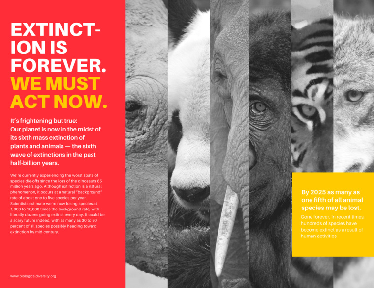 設(shè)計三折頁宣傳冊的20種創(chuàng)意方式-上海宣傳冊設(shè)計公司 設(shè)計三折頁宣傳冊的20種創(chuàng)意方式-上海宣傳冊設(shè)計公司