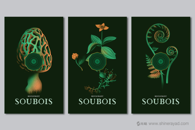 soubois酒館酒吧夜總會logo設計、品牌VI形象設計