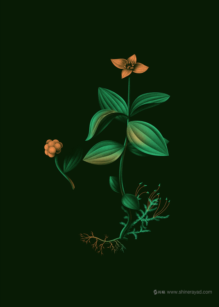 soubois酒館酒吧夜總會品牌VI形象設計-上海品牌設計公司