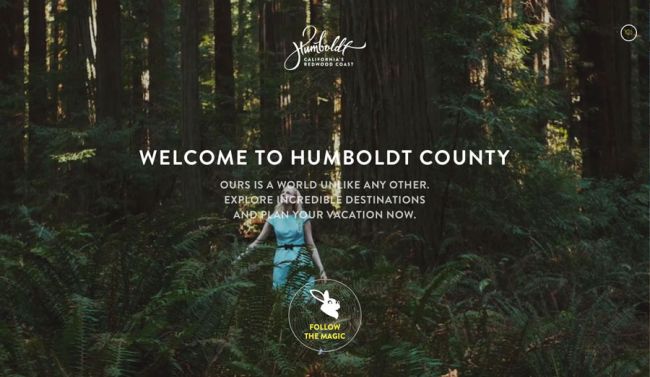 上海網(wǎng)站設(shè)計(jì)建設(shè)公司-2017年6個(gè)網(wǎng)頁(yè)設(shè)計(jì)流行趨勢(shì)-創(chuàng)造對(duì)比視頻效果網(wǎng)站