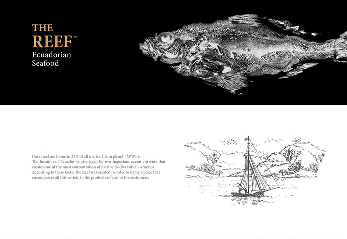 通過拓印設(shè)計的Reef 品牌海魚海鮮產(chǎn)品包裝設(shè)計欣賞-上海包裝設(shè)計公司