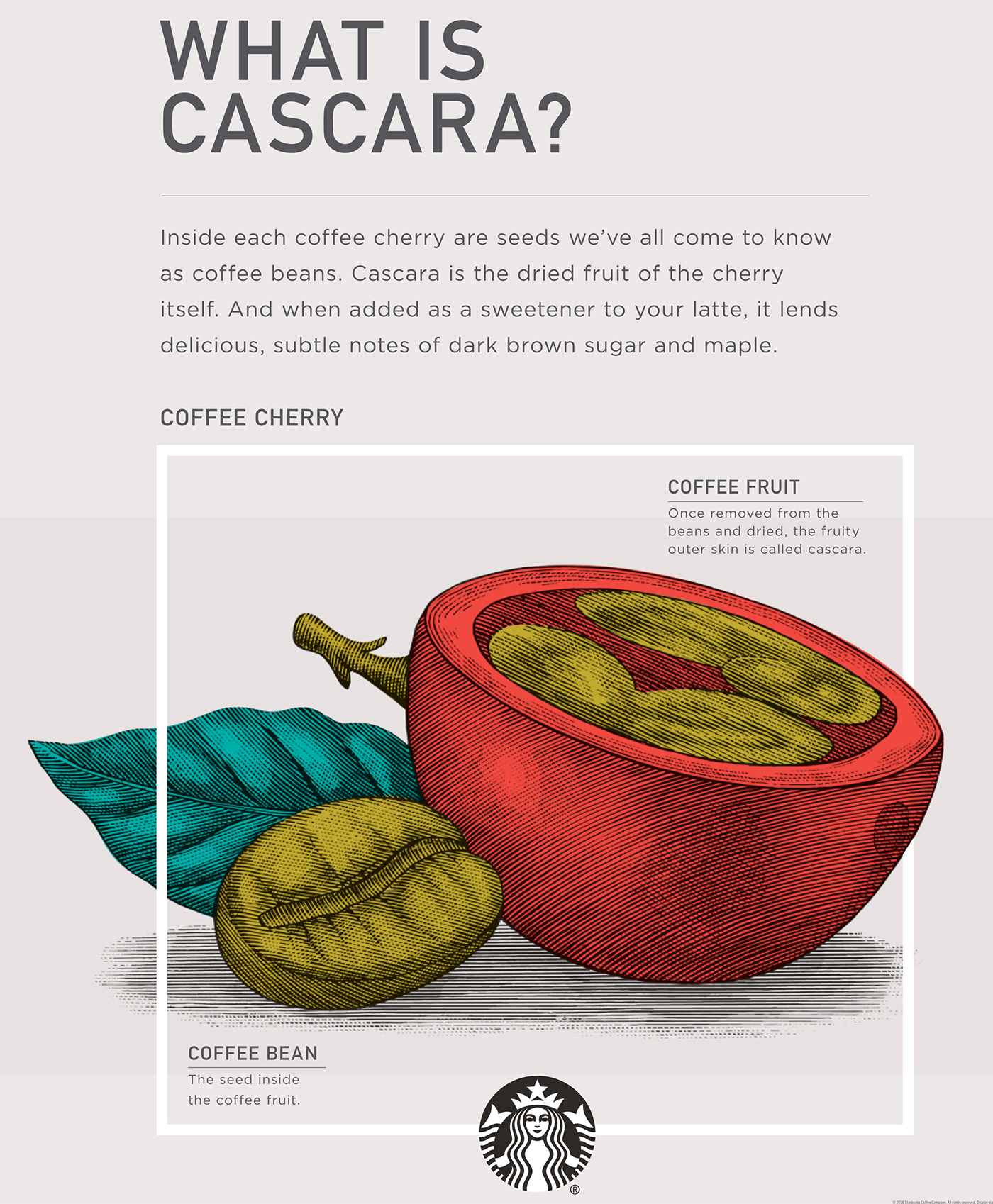 木版畫風(fēng)格星巴克冬季咖啡促銷宣傳插畫設(shè)計-上海品牌形象設(shè)計公司-上海平面設(shè)計公司