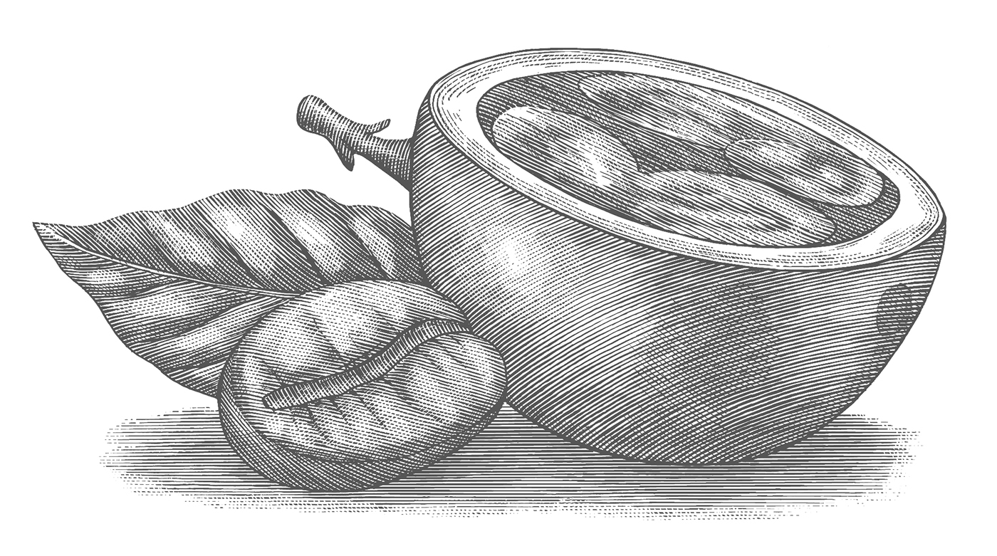 木版畫風(fēng)格星巴克冬季咖啡促銷宣傳插畫設(shè)計-上海品牌形象設(shè)計公司-上海平面設(shè)計公司