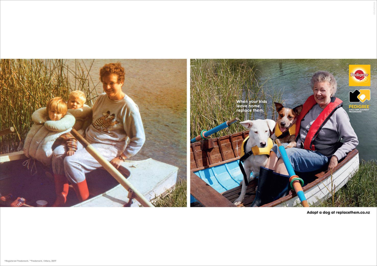 新西蘭Pedigree寵物領(lǐng)養(yǎng)平面創(chuàng)意廣告“相片”篇-尚略上海設(shè)計公司 新西蘭Pedigree寵物領(lǐng)養(yǎng)平面創(chuàng)意廣告“相片”篇-尚略上海設(shè)計公司