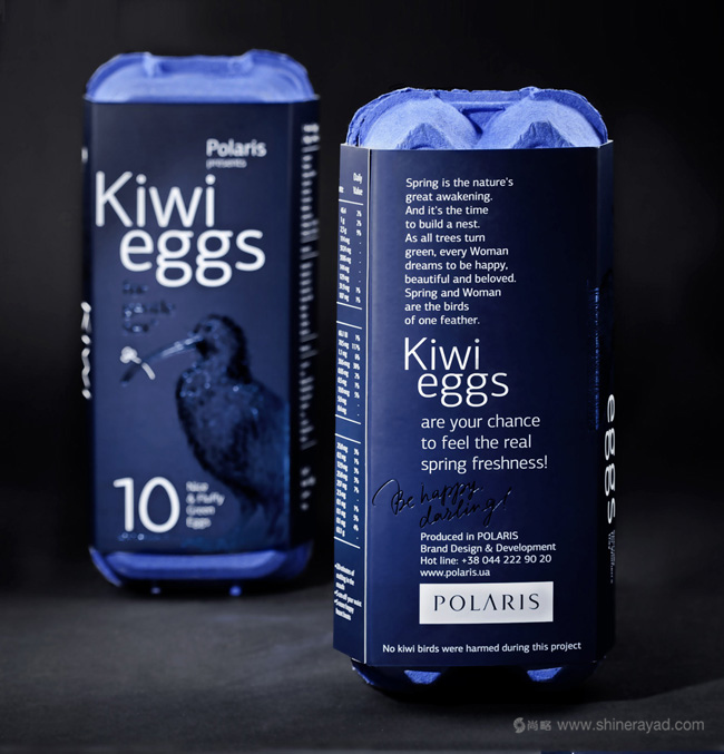 Kiwi Eggs 獼猴桃水果禮盒包裝設計鳥類插畫包裝欣賞-上海包裝設計公司