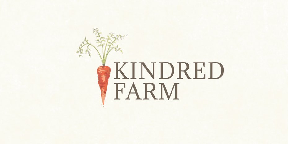 優(yōu)雅輕靈的橙色logo--充滿活力和激情的創(chuàng)意橙色logo設(shè)計欣賞-上海logo設(shè)計公司