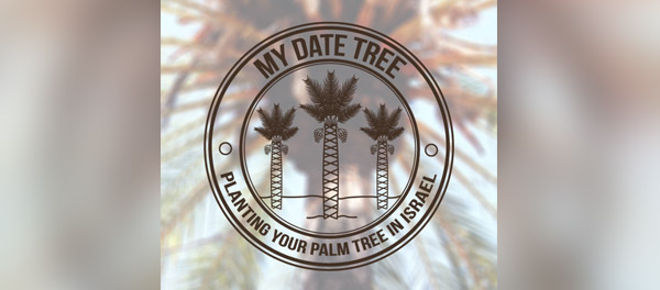 我的日期樹棕櫚樹logo-上海logo設(shè)計公司-上海品牌設(shè)計公司 我的日期樹棕櫚樹logo-上海logo設(shè)計公司-上海品牌設(shè)計公司