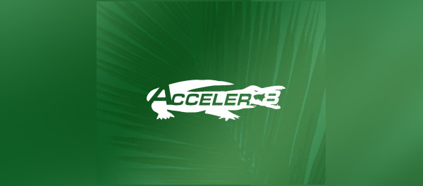 Acceler8生態(tài)系統(tǒng)標志設計-上海標志設計公司 Acceler8生態(tài)系統(tǒng)標志設計-上海標志設計公司