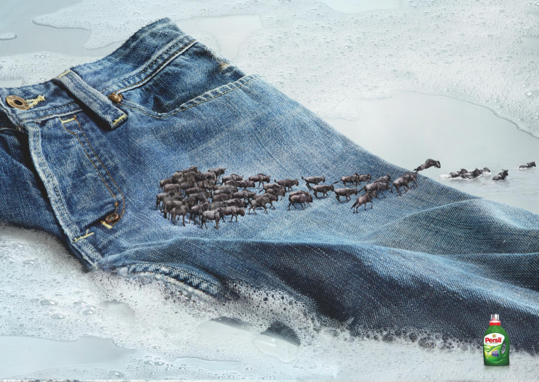 碧浪洗衣粉動物遷徙篇平面廣告創(chuàng)意設計-上海品牌策劃設計廣告策劃設計公司 碧浪洗衣粉動物遷徙篇平面廣告創(chuàng)意設計-上海品牌策劃設計廣告策劃設計公司