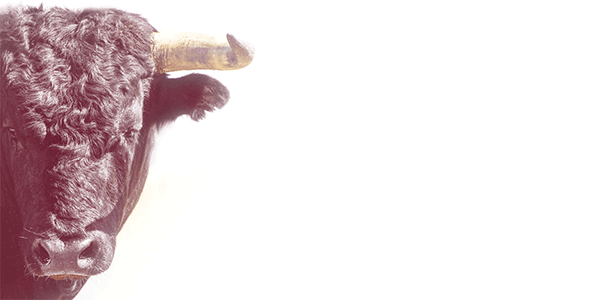 20個超酷創(chuàng)意logo設(shè)計想法-上海logo設(shè)計公司