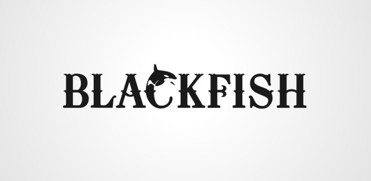 充滿運(yùn)動(dòng)感的魚(yú)logo設(shè)計(jì)-上海logo設(shè)計(jì)公司-上海品牌設(shè)計(jì)公司