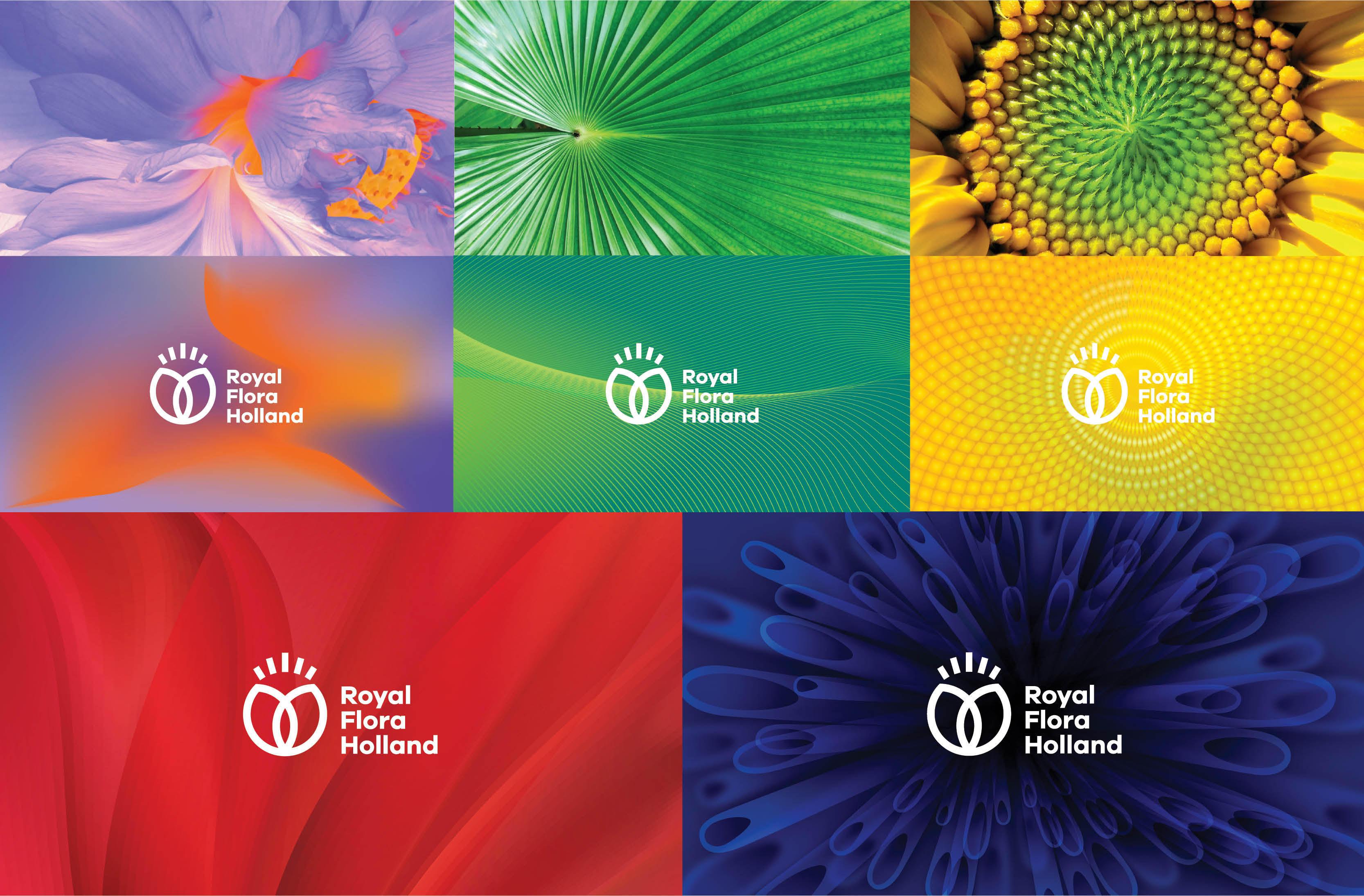 Royal Flora Holland 鮮花花卉種植合作社品牌logo設(shè)計(jì)-上海logo設(shè)計(jì)公司 Royal Flora Holland 鮮花花卉種植合作社品牌logo設(shè)計(jì)-上海logo設(shè)計(jì)公司