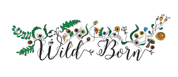 豐富多彩(異想天開)logo--健康logo設(shè)計(jì)趨勢(shì)-上海logo設(shè)計(jì)公司 豐富多彩(異想天開)logo--健康logo設(shè)計(jì)趨勢(shì)-上海logo設(shè)計(jì)公司