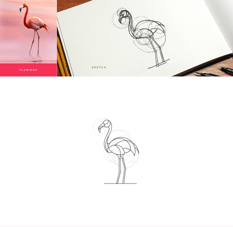 上海logo設(shè)計公司分享：基于幾何圓形創(chuàng)作設(shè)計的美麗動物標(biāo)識logo-鴕鳥logo