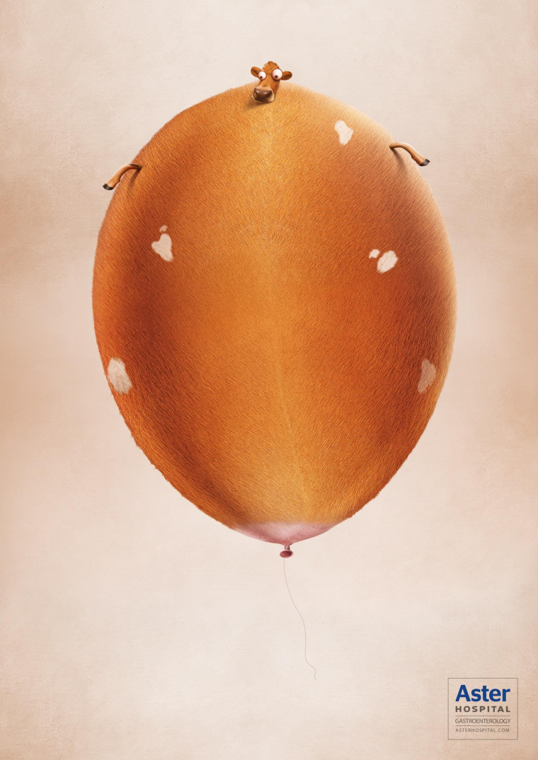 艾斯特醫(yī)院治療胃脹胃病平面廣告創(chuàng)意設(shè)計-膨脹的母牛-上海醫(yī)療平面廣告策劃設(shè)計公司