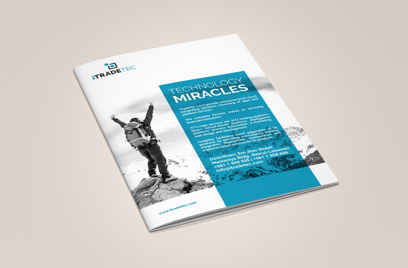 塞浦路斯自貿(mào)科技公司藍(lán)色簡(jiǎn)約風(fēng)格宣傳冊(cè)-上海宣傳畫(huà)冊(cè)設(shè)計(jì)公司