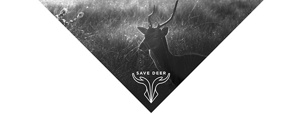 拯救野生鹿群動(dòng)物公益品牌VI形象設(shè)計(jì)-上海品牌VI設(shè)計(jì)公司