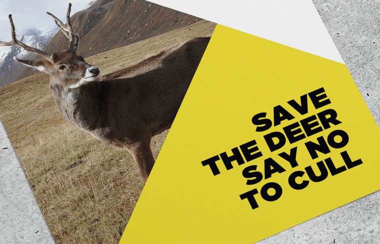 拯救野生鹿群動(dòng)物公益品牌VI形象設(shè)計(jì)-上海品牌VI設(shè)計(jì)公司