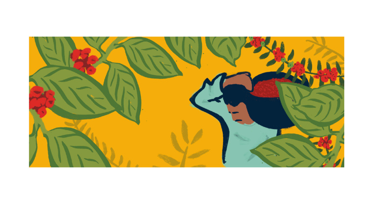 Mestizo 金屬罐裝咖啡概念包裝設(shè)計插畫設(shè)計欣賞-上海包裝設(shè)計公司