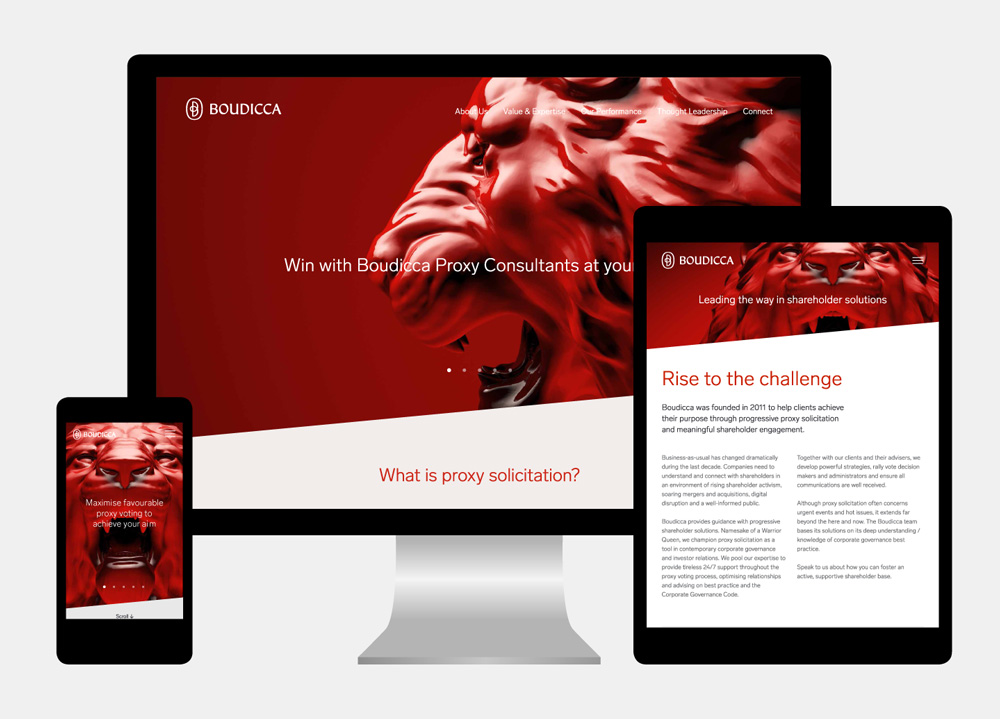 Boudicca 公司股權(quán)投資治理顧問公司企業(yè)品牌形象設(shè)計(jì)-網(wǎng)站設(shè)計(jì)-上海品牌設(shè)計(jì)公司