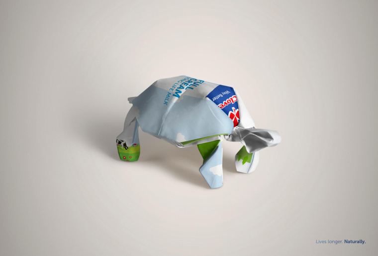 三葉草長壽命牛奶平面廣告創(chuàng)意設(shè)計(jì)“包裝盒創(chuàng)意篇-烏龜”-上海廣告策劃設(shè)計(jì)公司