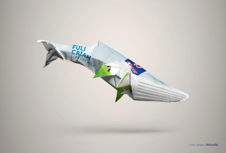 三葉草長壽命牛奶平面廣告創(chuàng)意設(shè)計(jì)“包裝盒創(chuàng)意篇-鯨魚”-上海廣告策劃設(shè)計(jì)公司