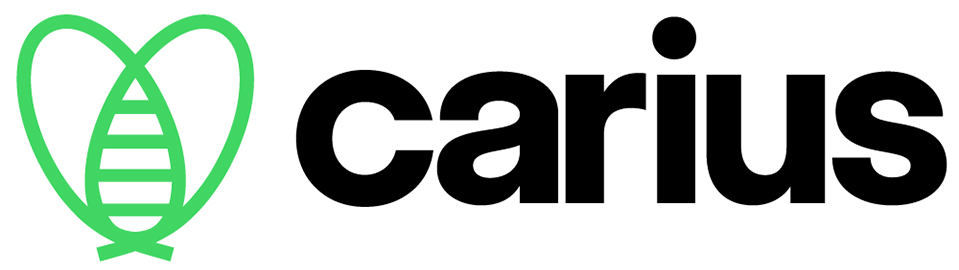法國卡里烏斯新型醫(yī)療運(yùn)輸網(wǎng)絡(luò)平臺(tái)蜜蜂LOGO設(shè)計(jì)-上海品牌LOGO設(shè)計(jì)公司