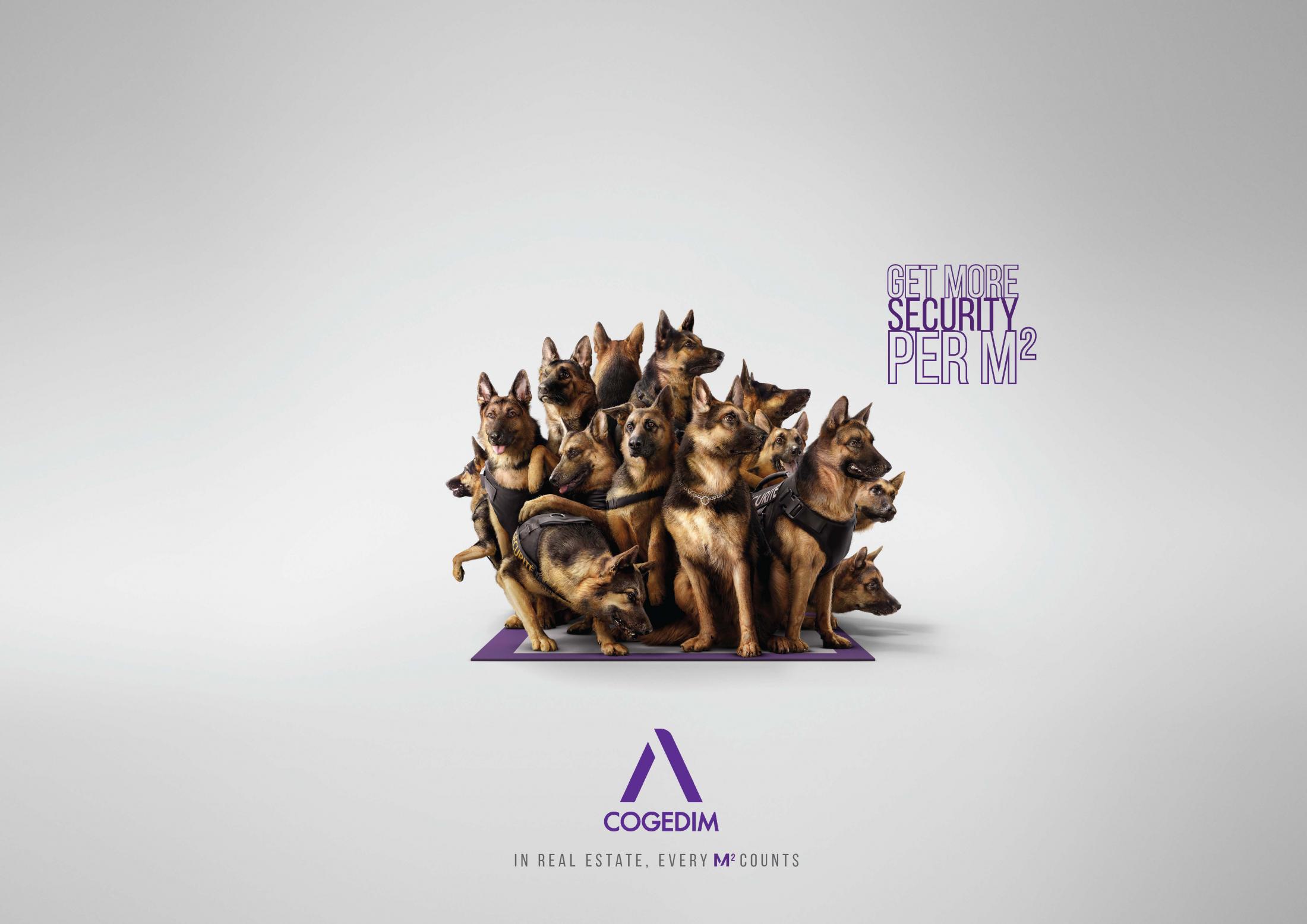 COGEDIM房地產(chǎn)平面廣告創(chuàng)意設(shè)計(jì)-上海廣告設(shè)計(jì)公司