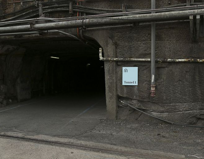 澳洲鸚鵡島空間環(huán)境導(dǎo)示設(shè)計(jì)-上海品牌策劃設(shè)計(jì)公司 澳洲鸚鵡島空間環(huán)境導(dǎo)示設(shè)計(jì)-上海品牌策劃設(shè)計(jì)公司