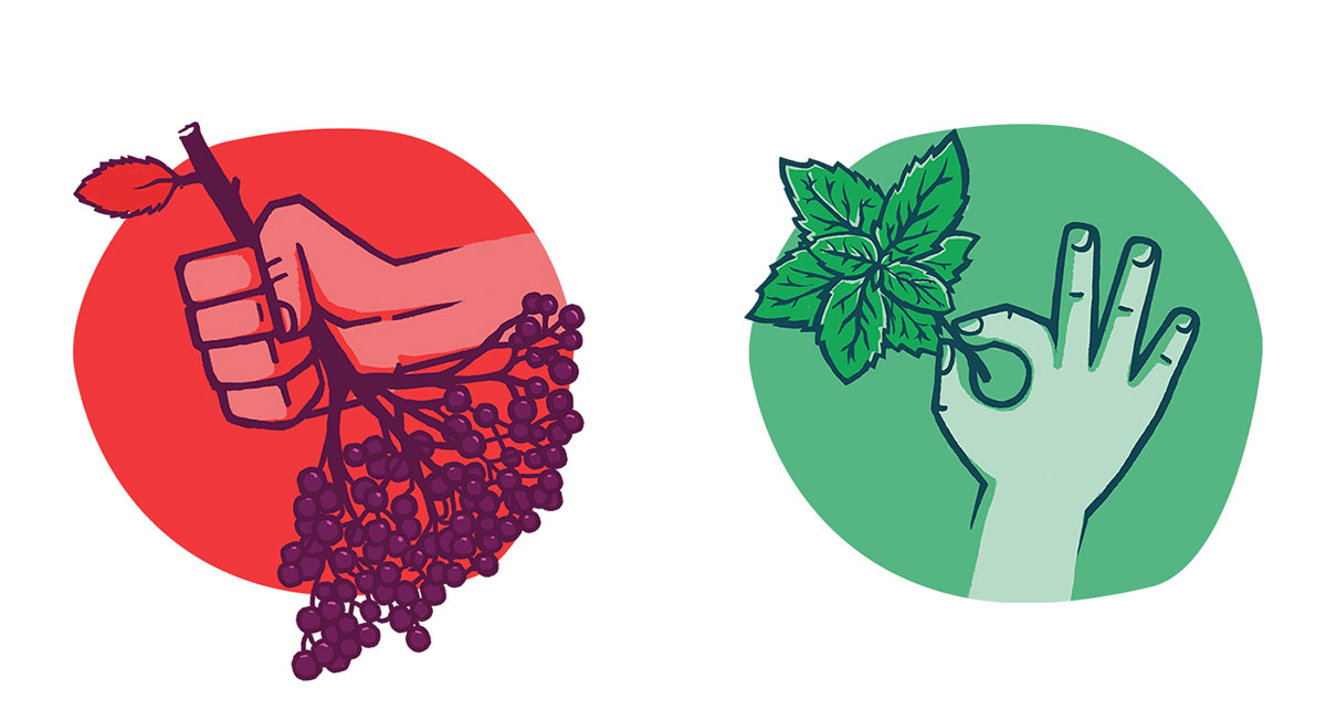 Korzen 健康果汁包裝設(shè)計插畫設(shè)計欣賞-上海包裝設(shè)計公司