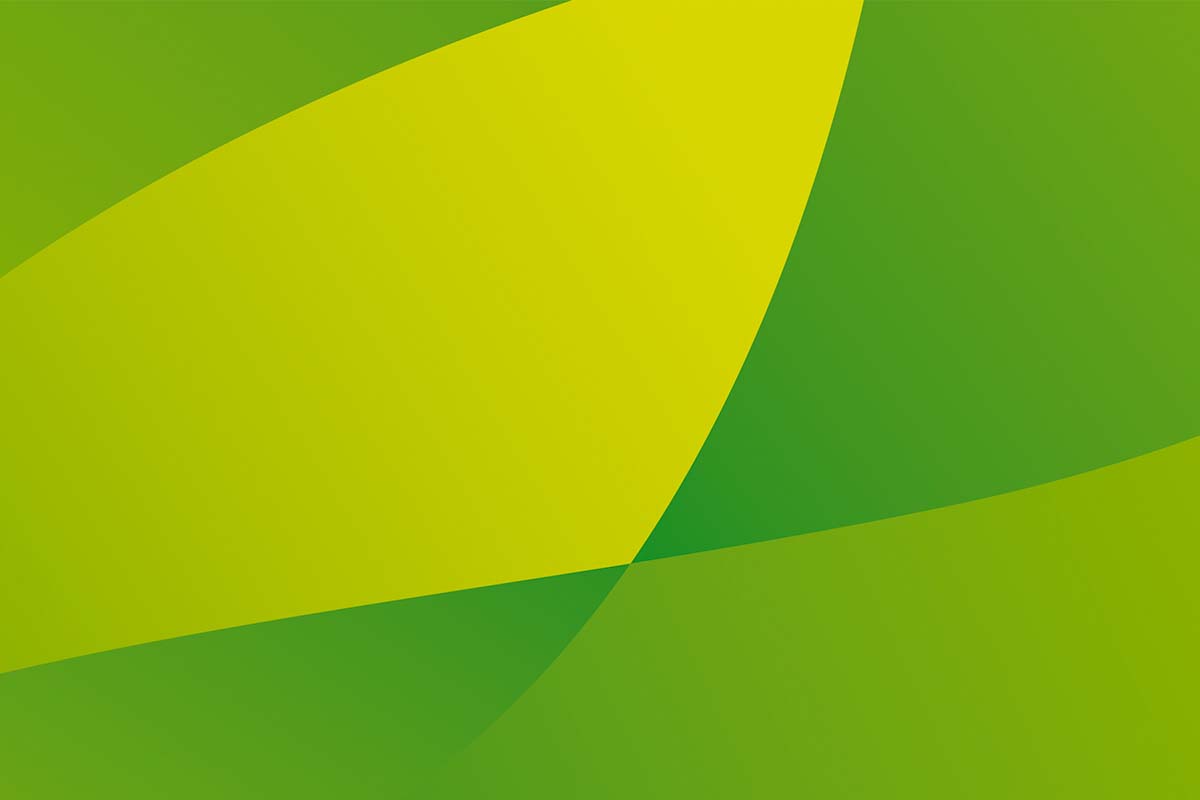 Bagisa 農業(yè)品牌形象更新設計