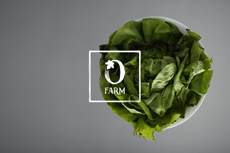 Olivette 農(nóng)場品牌形象設(shè)計標志設(shè)計 Olivette 農(nóng)場品牌形象設(shè)計標志設(shè)計