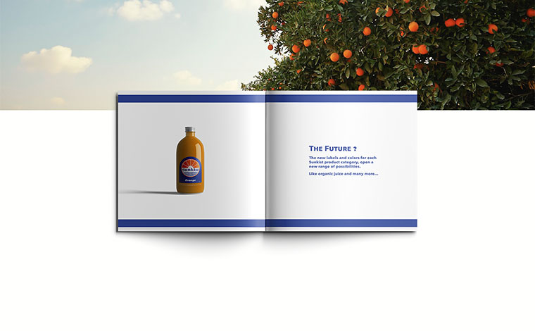 Sunkist 水果品牌logo設(shè)計(jì)VI設(shè)計(jì)-上海logo設(shè)計(jì)VI設(shè)計(jì)公司 Sunkist 水果品牌logo設(shè)計(jì)VI設(shè)計(jì)-上海logo設(shè)計(jì)VI設(shè)計(jì)公司