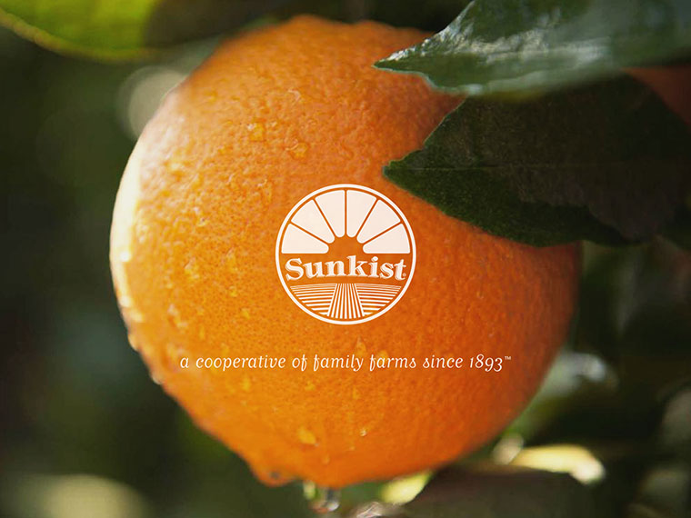 Sunkist 水果品牌logo設(shè)計(jì)VI設(shè)計(jì)-上海logo設(shè)計(jì)VI設(shè)計(jì)公司 Sunkist 水果品牌logo設(shè)計(jì)VI設(shè)計(jì)-上海logo設(shè)計(jì)VI設(shè)計(jì)公司