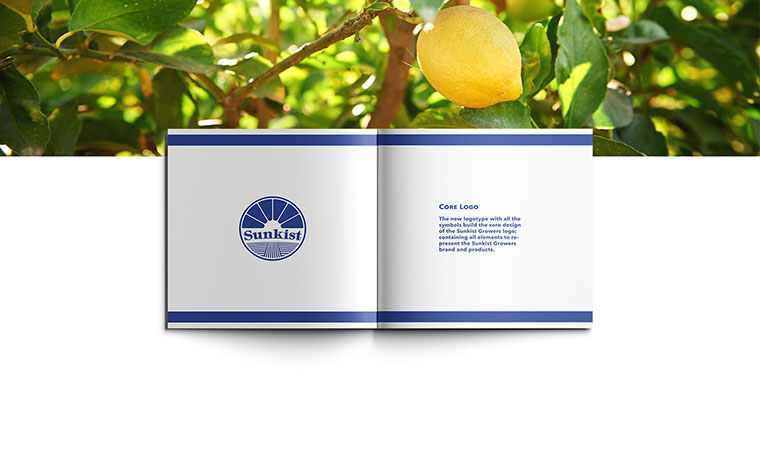 Sunkist 水果品牌logo設(shè)計(jì)VI設(shè)計(jì)-上海logo設(shè)計(jì)VI設(shè)計(jì)公司 Sunkist 水果品牌logo設(shè)計(jì)VI設(shè)計(jì)-上海logo設(shè)計(jì)VI設(shè)計(jì)公司