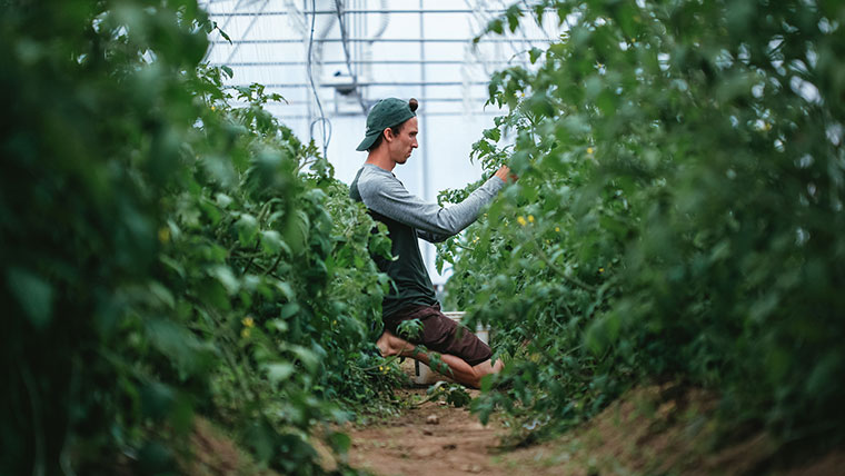 Ferme 地?zé)釡厥肄r(nóng)場(chǎng)農(nóng)業(yè)品牌視覺形象設(shè)計(jì)-上海品牌設(shè)計(jì)公司