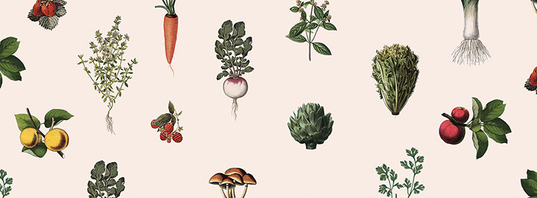 Ferme 地?zé)釡厥肄r(nóng)場(chǎng)農(nóng)業(yè)品牌視覺形象設(shè)計(jì)-上海品牌設(shè)計(jì)公司