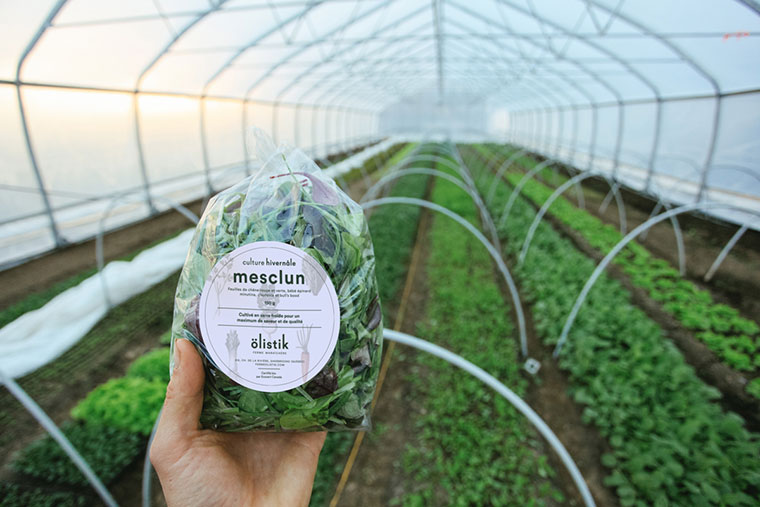 Ferme 地?zé)釡厥肄r(nóng)場(chǎng)農(nóng)業(yè)品牌視覺形象設(shè)計(jì)-上海品牌設(shè)計(jì)公司